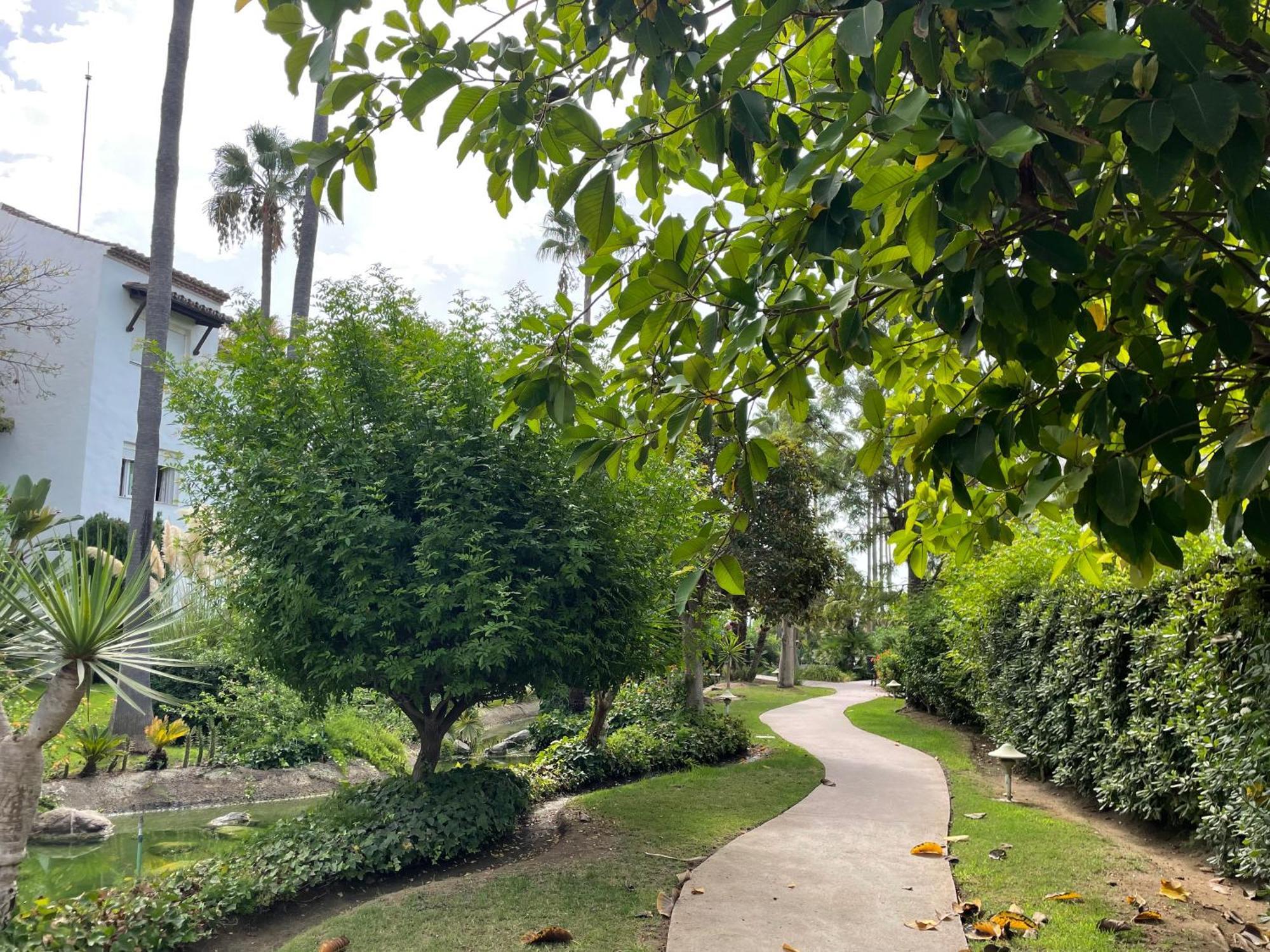 אסטפונה Apartment Costalita, Direct Beach Access, Ground Floor, Salt Water Pool מראה חיצוני תמונה